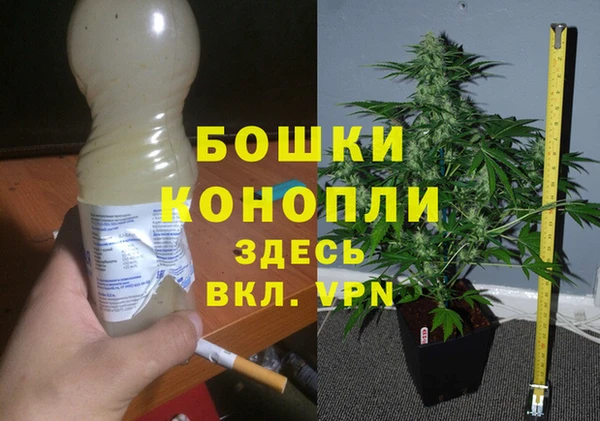 трава Бородино