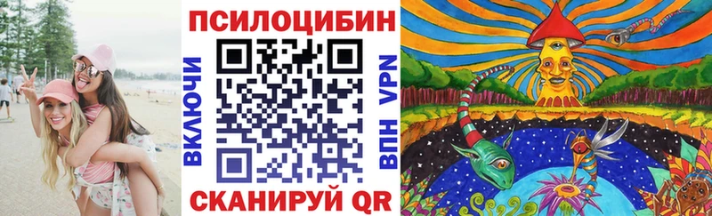 Купить  Вичуга  Псилоцибиновые грибы мухоморы 